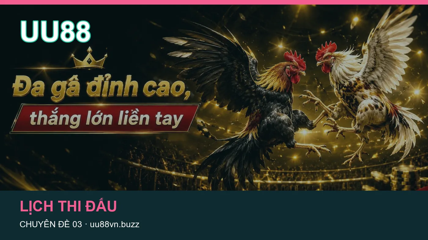 Hỏi đáp về Bóng đá: quy trình tự kiểm tra trên UU88
