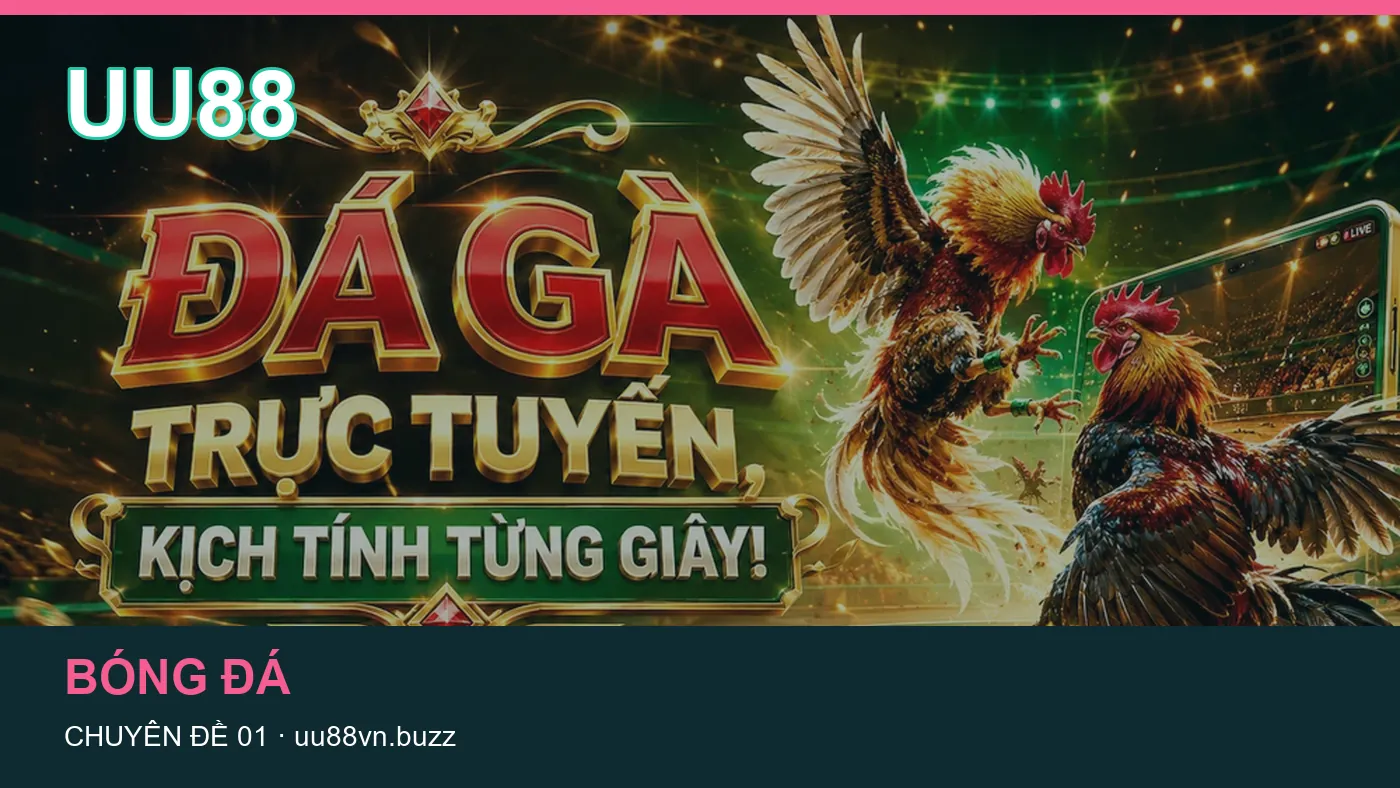 Danh sách kiểm tra thông tin Giải đấu dành cho người đọc UU88